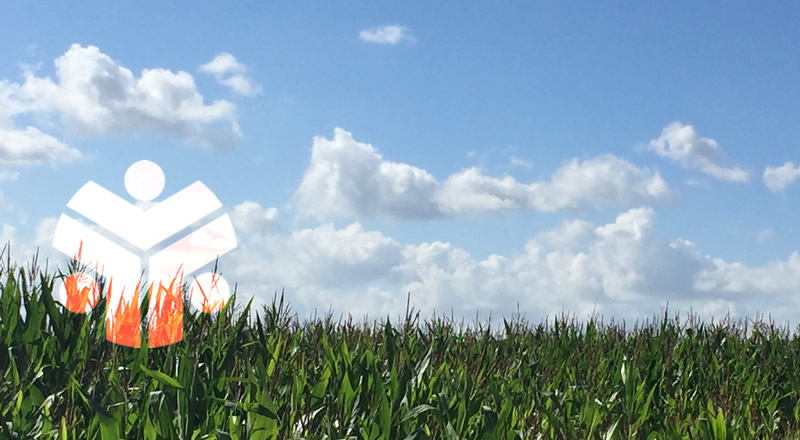 CCS in a just transition for European citizens