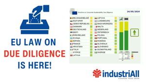 Celebrating an historic day: the EU law on Due Diligence is HERE!